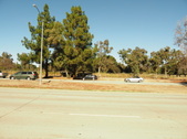 Enlarge photo 167
