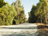 Enlarge photo 168