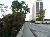 Enlarge photo 33