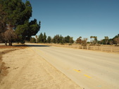 Enlarge photo 34