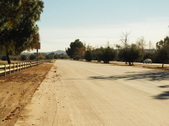 Enlarge photo 39