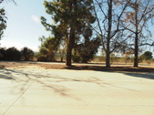 Enlarge photo 41