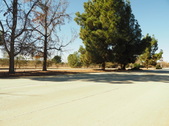 Enlarge photo 42