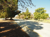 Enlarge photo 43