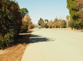 Enlarge photo 50