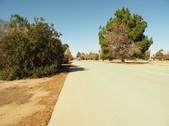 Enlarge photo 52