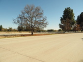 Enlarge photo 55