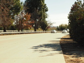 Enlarge photo 58