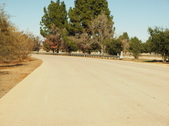 Enlarge photo 59