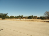 Enlarge photo 61
