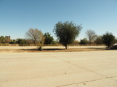 Enlarge photo 62