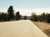 Enlarge photo 65