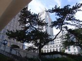 Enlarge photo 63