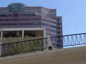 Enlarge photo 71