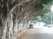 FREMONT AVENUE S OF TEMPLE STREET