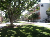NORTH OF CENTRAL QUAD AREA
