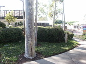 Enlarge photo 28