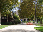Enlarge photo 27