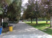 Enlarge photo 13