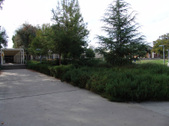 Enlarge photo 27