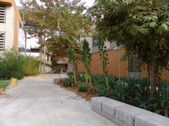 Enlarge photo 12