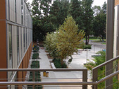 Enlarge photo 41
