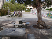 Enlarge photo 14
