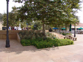 Enlarge photo 27