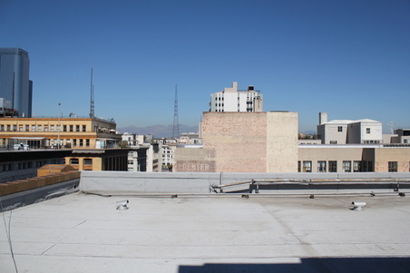 Enlarge photo 84