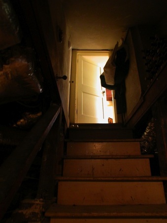 Enlarge photo 67