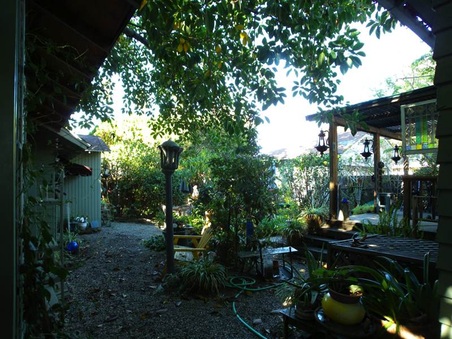 Enlarge photo 49