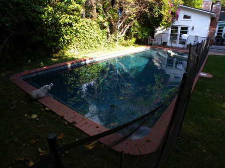 Enlarge photo 42