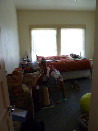 Enlarge photo 15