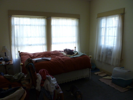 Enlarge photo 16