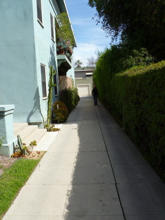 Enlarge photo 41