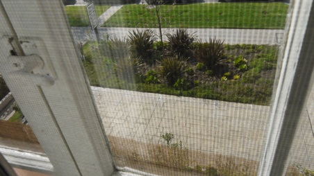 Enlarge photo 11