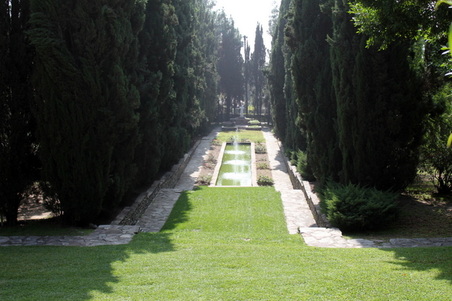 Enlarge photo 75