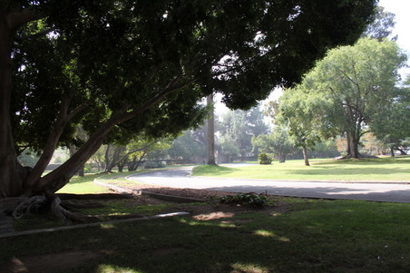 Enlarge photo 76