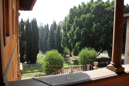 Enlarge photo 121