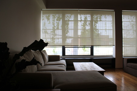 Enlarge photo 42
