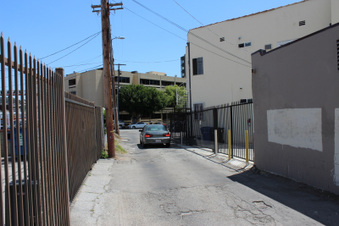 Alley Behind Cheetahs