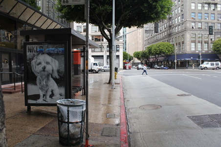 Enlarge photo 2