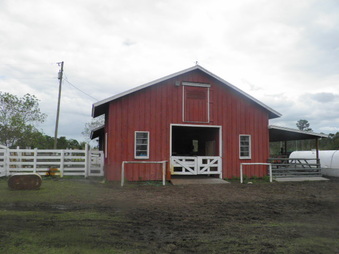 Barns and Forest