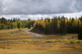 Sample Locations Arizona