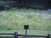 Enlarge photo 35