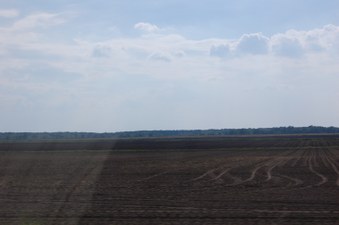 Enlarge photo 106