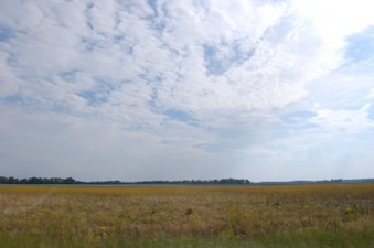 Enlarge photo 107