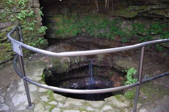 Enlarge photo 135