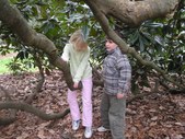 Enlarge photo 30