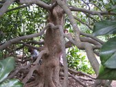 Enlarge photo 36